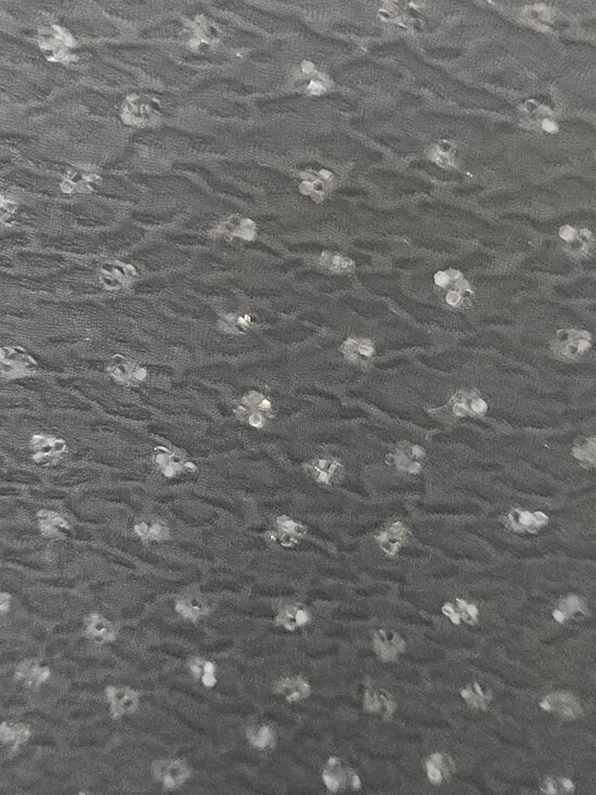 SPARKLING BLACK MINI DRESS BY WARREN PETITES - Picture 3 of 6